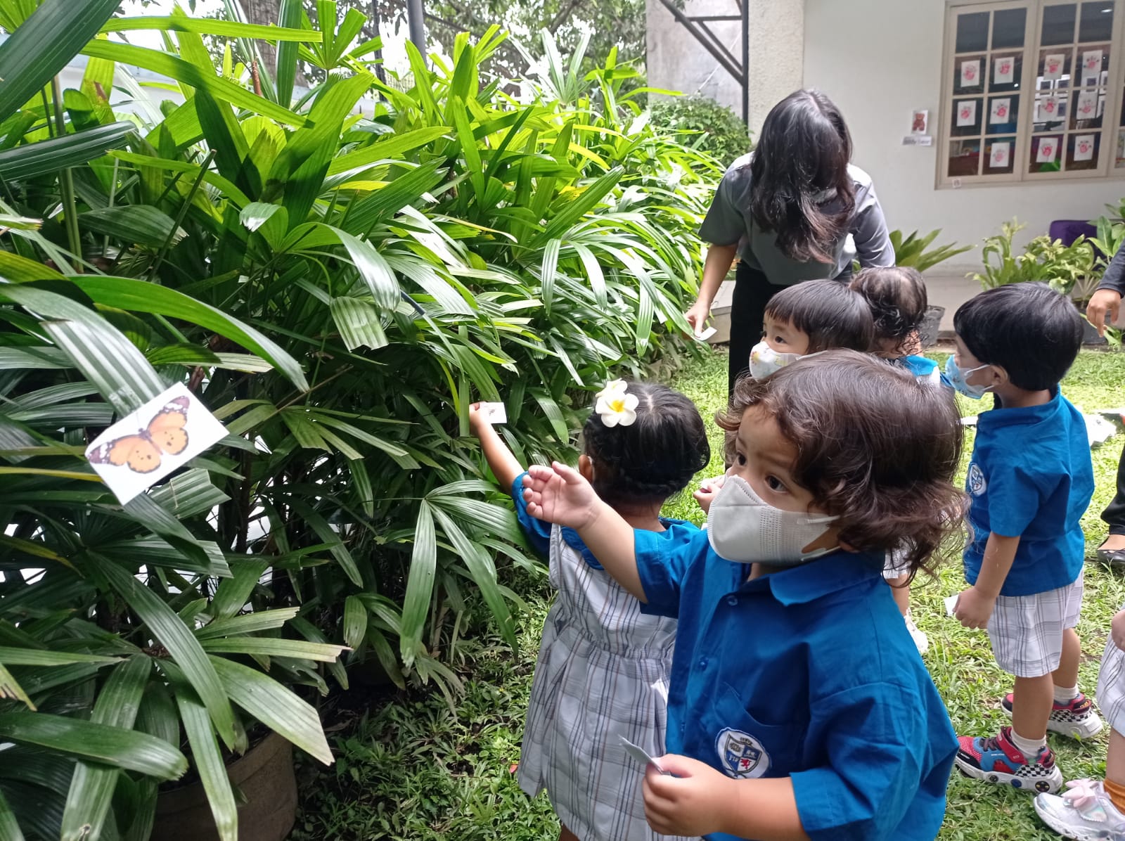 Toddler English Recognizing the minibeasts Focus Independent School